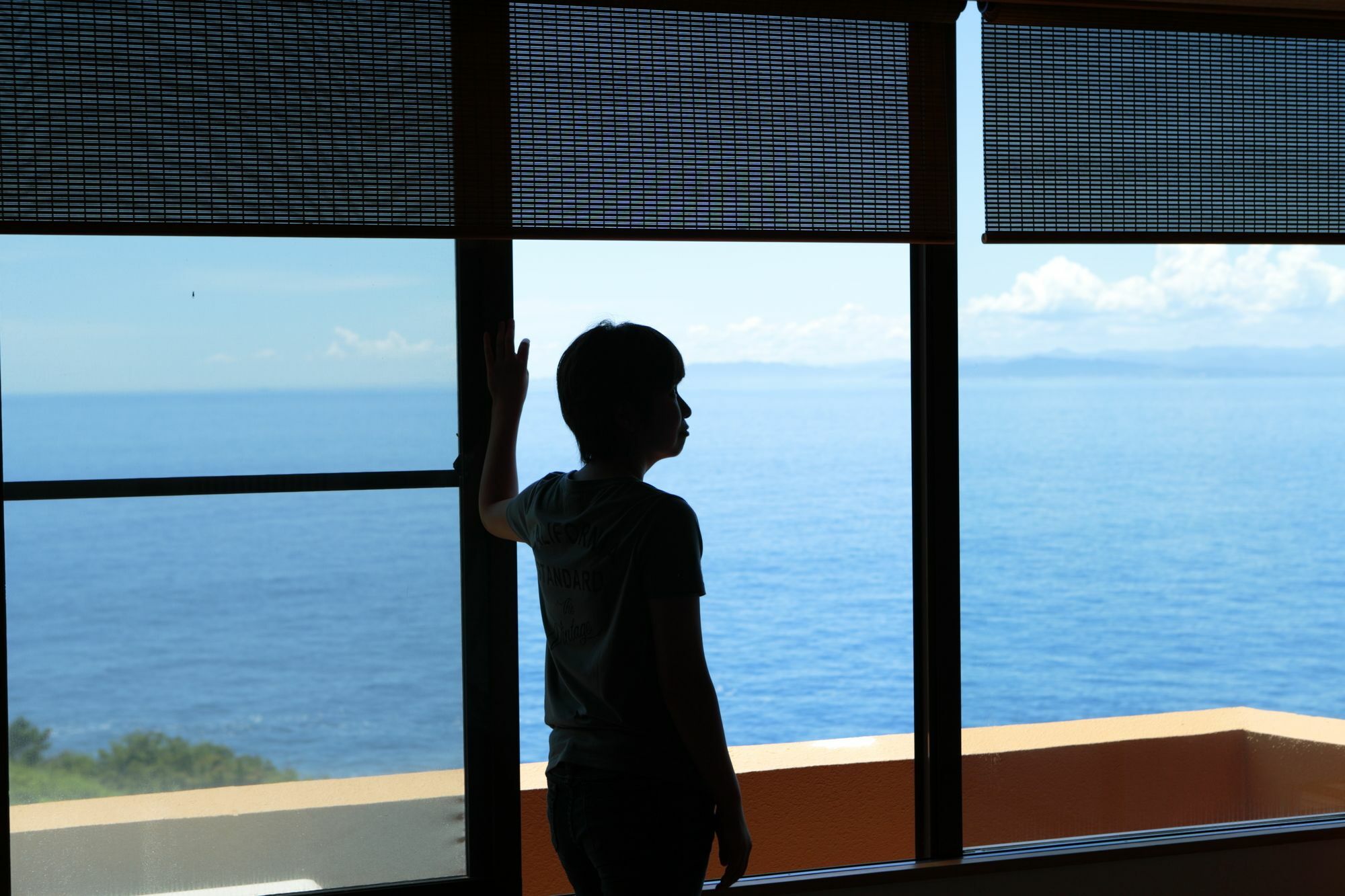 Umi-No-Hotel Isaba Numazu Kültér fotó